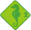 Abzeichen Seepferd